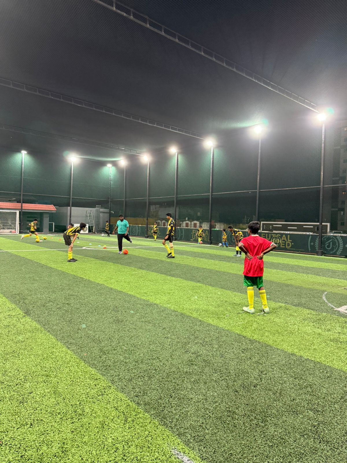 Safe and durable terrace cricket nets for home practice setups. Easy to install and strong material.