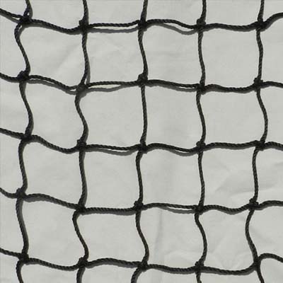 Black Nets